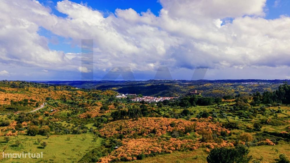 Terreno Rústico com 112.025 m2 em Belver – Potencial Agrícola, Florest