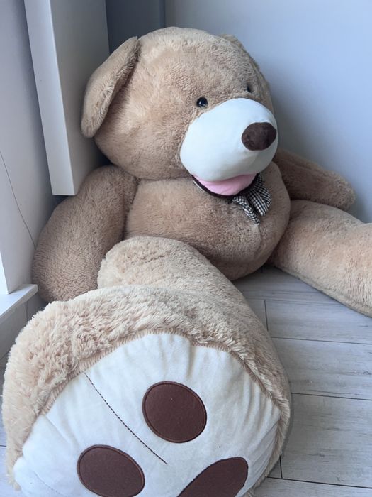 Duży mis Ok 170cm
