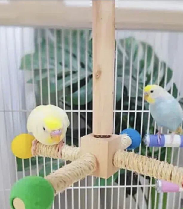 Іграшка для попугаїв
