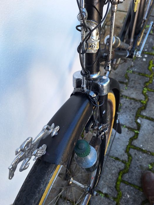 Bicicleta Pasteleira marca PHILIPS, roda 28