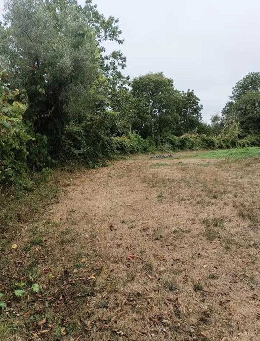 Terreno em Alvarenga-Arouca