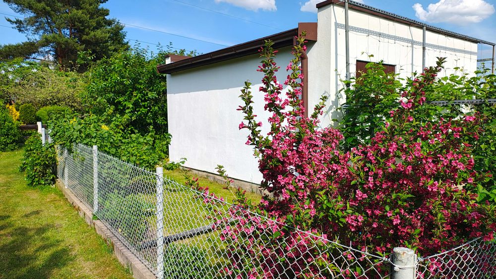 Działka ROD  z domkiem murowanym – Swarzędz, ul. Przełajowa 1 ("Nad Cybiną") - Widok 3
