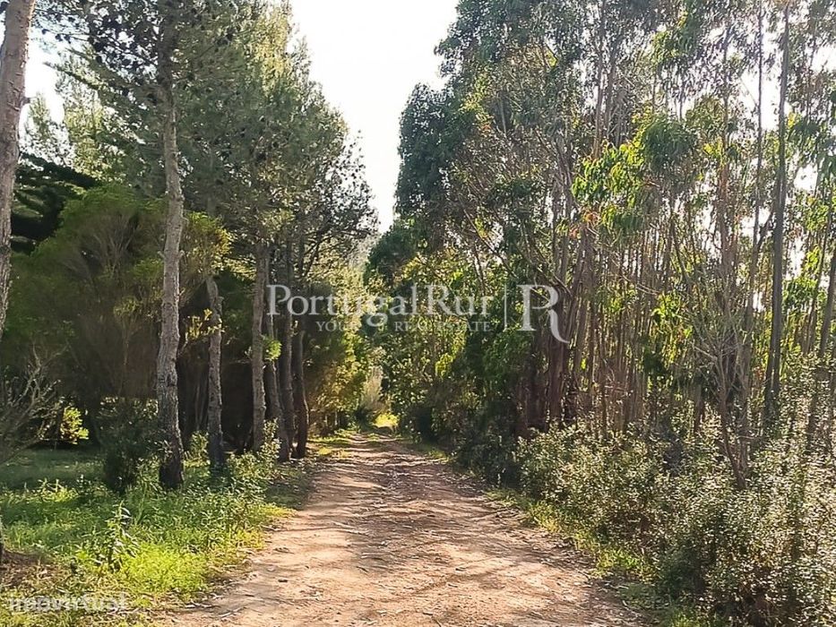 Terreno plano a 5 minutos das Praias, Costa Vicentina Algarve — Aljezur, Faro