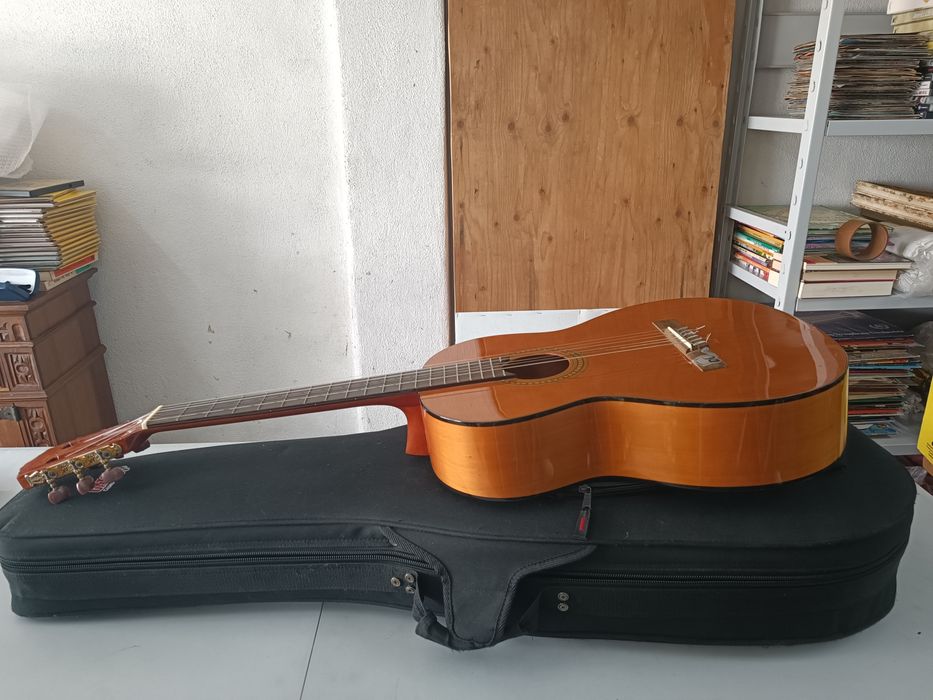 Guitarra  com saco