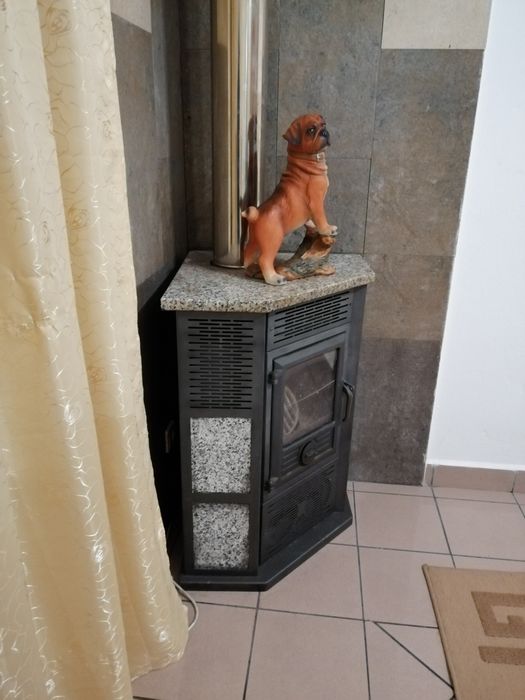 Salamandra solzaima K3