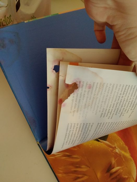 Livro capa dura Cozinha e Doçaria Para Diabéticos +220 Everest Editora