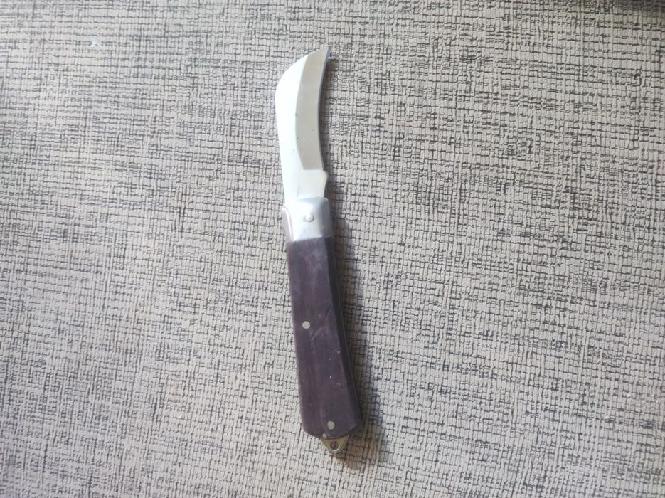 Navalha de enchertia