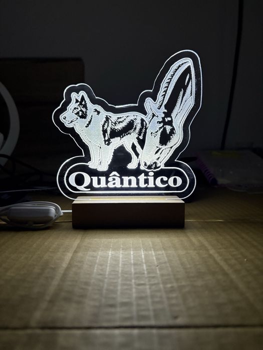 Candeeiros LED em Acrílico Personalizados – Um Presente Único!