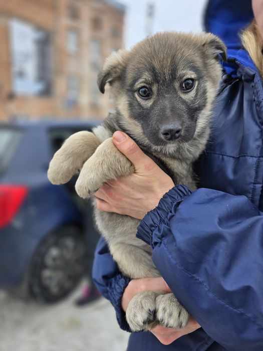 Дівчинка в добрі ручки!
