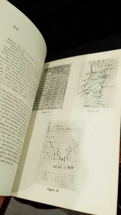 A Aplicação Racional da Madeira de Pinho na Construção Civil