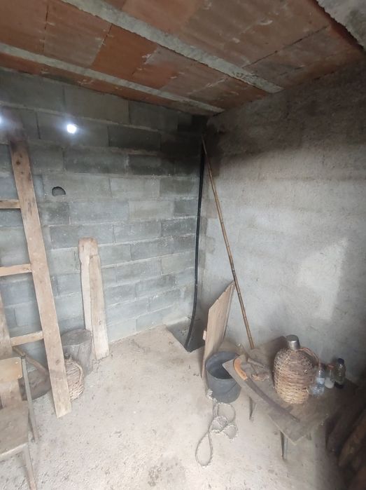 Vinha abandonada na bairrada