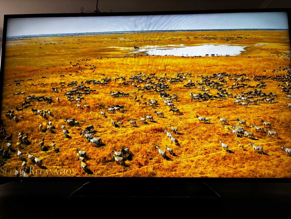 Telewizor Panasonic TX-55AX630 55" 4K UHD Smart TV – 3D, Wi-Fi,Kamera!