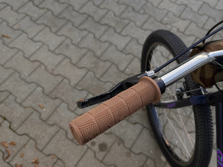 Retro MTB rower Giant Escaper