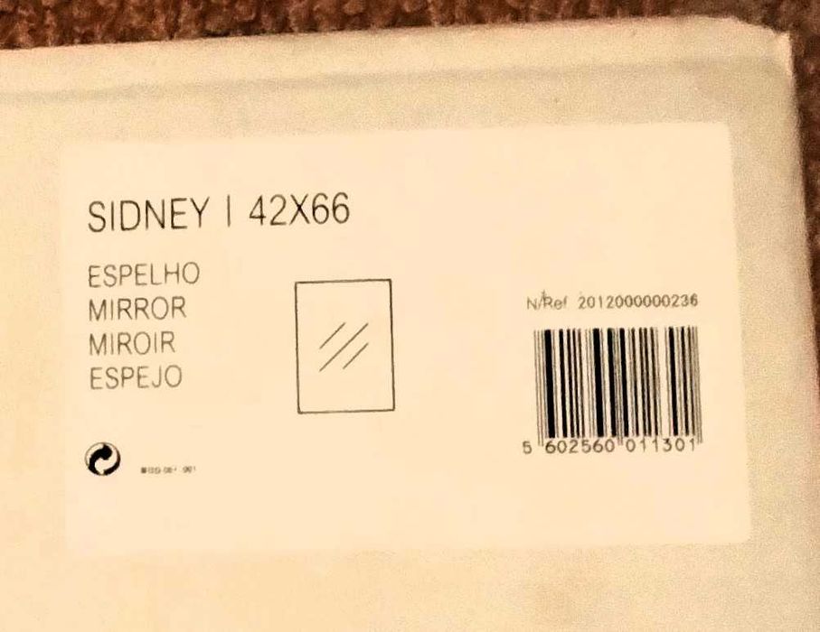 Espelho Novo 42 X 66 Cm