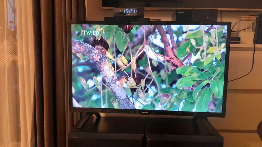 telewizor 32 cale Philips z wbudowanym dekoderem do TV naziemnej