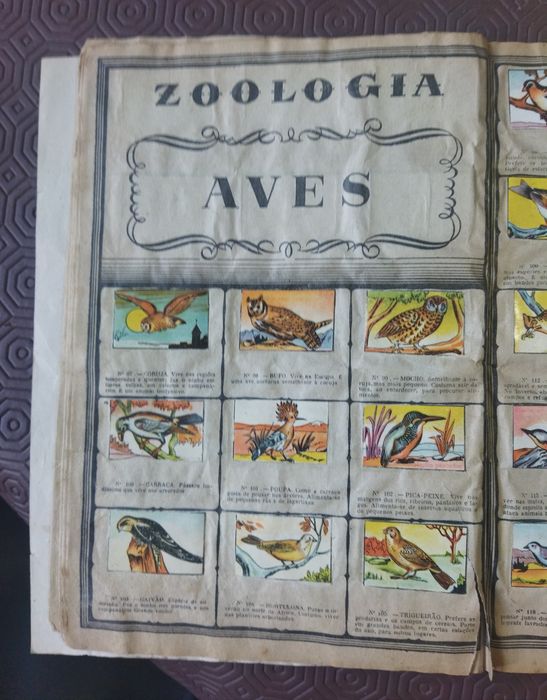 Álbum de Zoologia