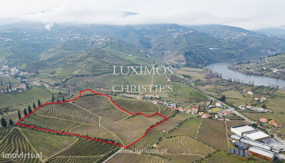 Quinta vinícola à venda no Alto Douro Vinhateiro, Douro Valley