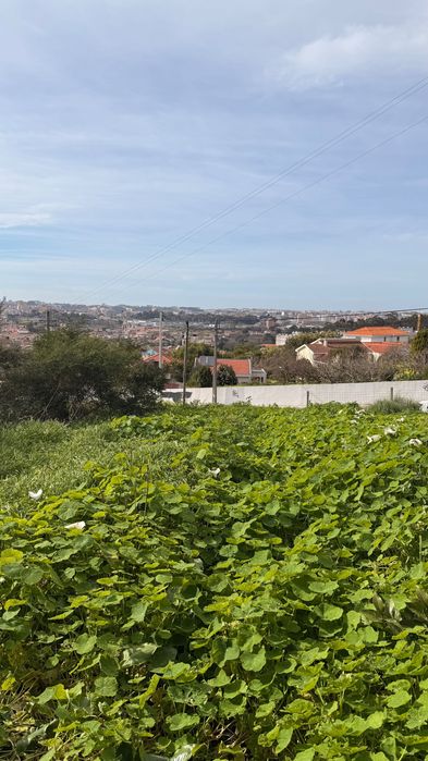 Lote de Terreno Urbano com Excelente Localização- Oportunidade Única!