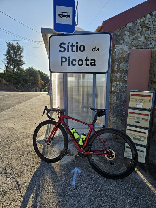 Giant TCR Advanced pro