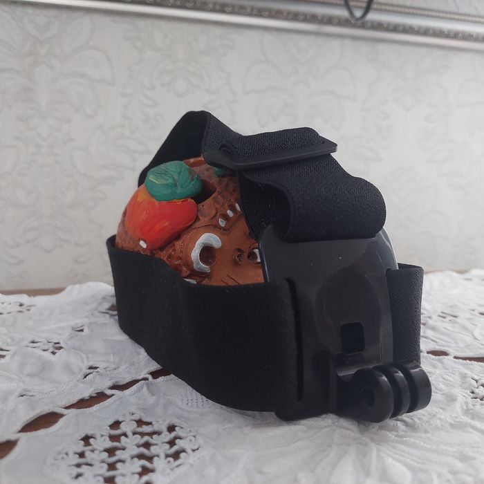 Go pro seasson 4
