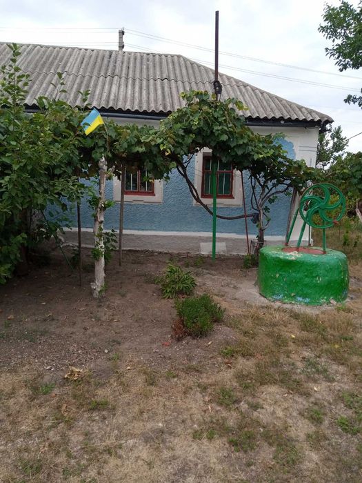Продам будинок в селі Богданівка