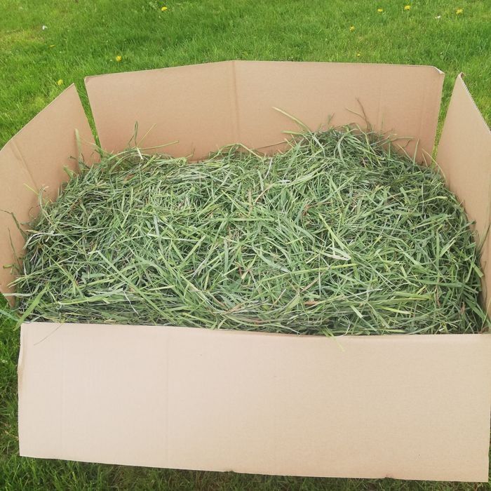 Siano zielone z suszarni 4 kg