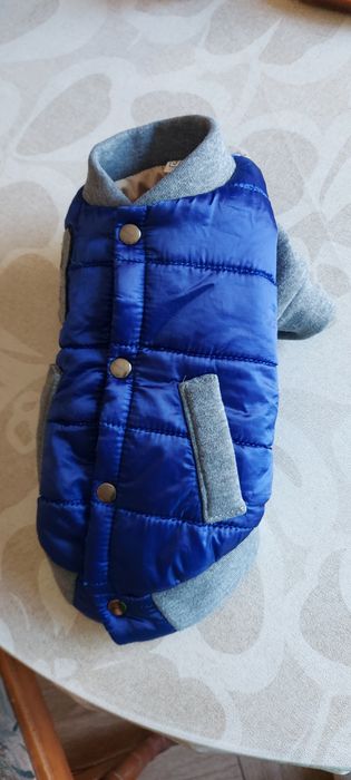 Кофтинка для маленького собачки