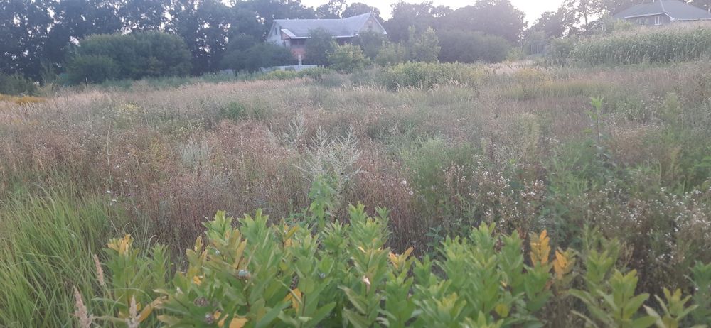 Продаж гарноі великоі ділянки в Слободі