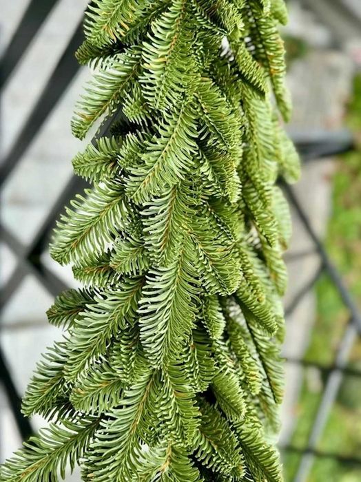 Nowa Jodła Girlanda Świąteczna Choinkowa Stołowa Zielona Schody 110CM