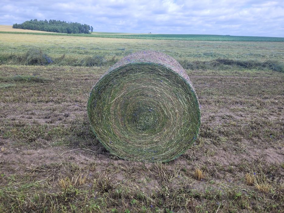 Usługi prasowania słomy,siana,sianokiszonki