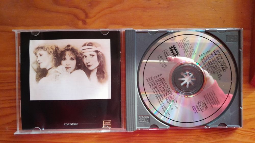 Stevie Nicks - The Wild Heart