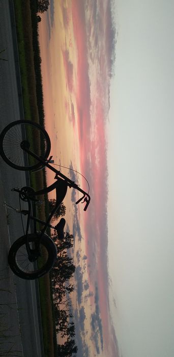 Rower Chopper motor