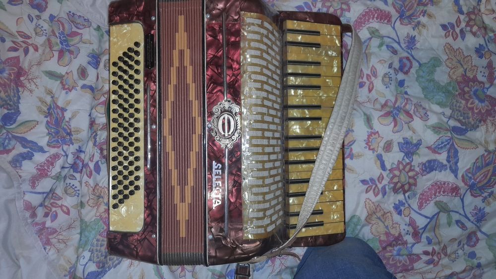 Гармонь баян аккардеон
