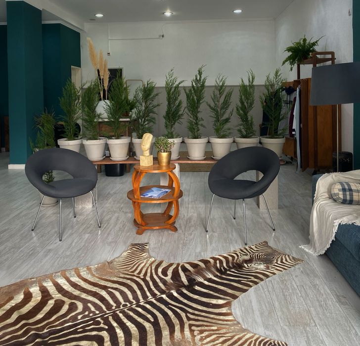 Tapete de Zebra Vintage – Muito Bem Conservado