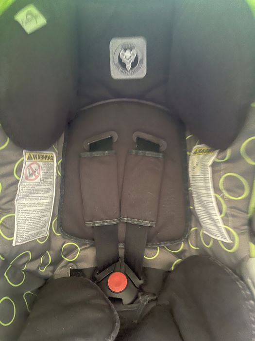 Ovo em bom estado verde e cinzento