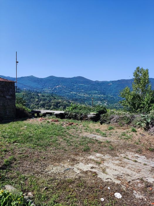 Quintinha no Douro Sul (Ferrós de Resende)
