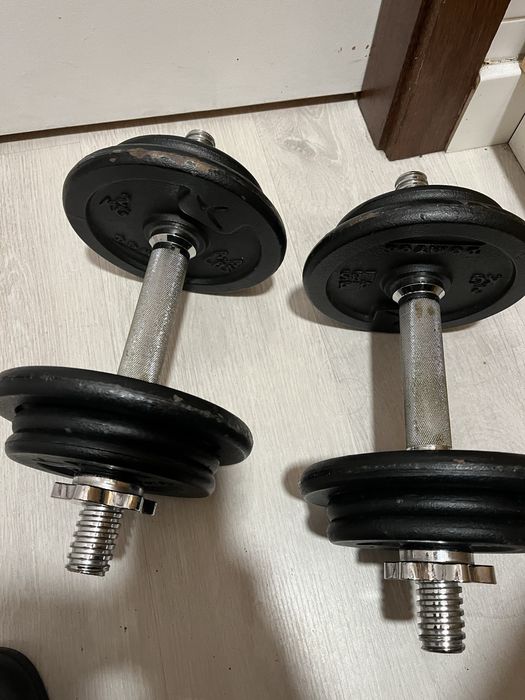 Pesos halters ginasio