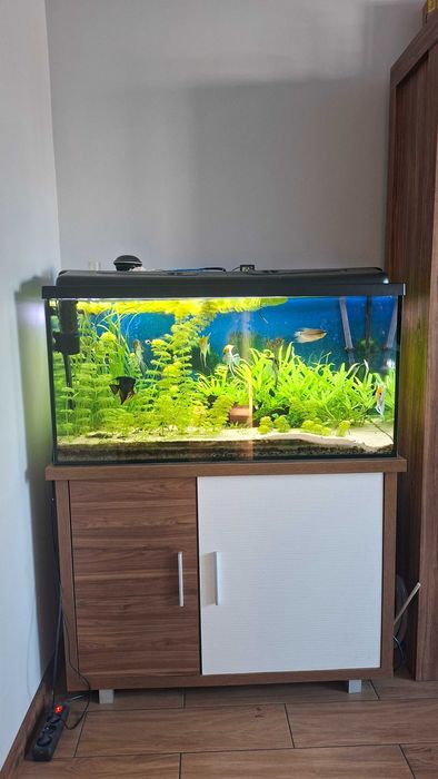 MEGA zestaw akwariowy 200L  +gratisy