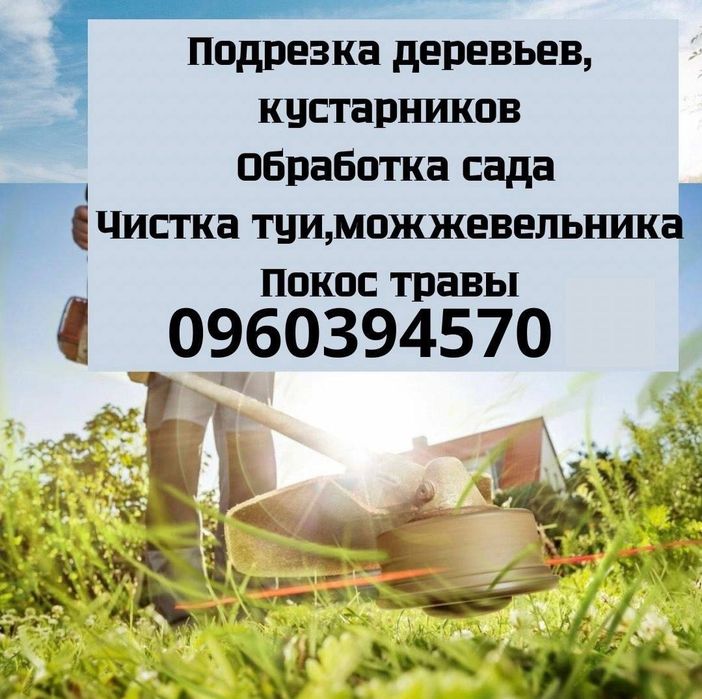 Покос,спил,розчистка участников