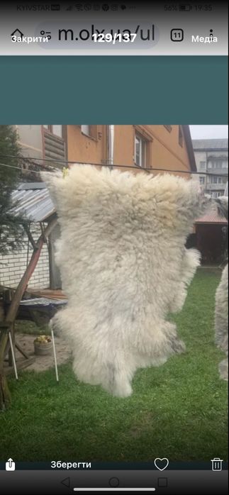 Натуральне хутро