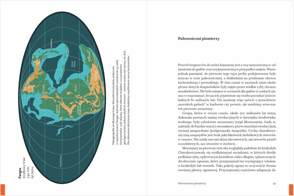 D. Tyborowski/W głębiny /Ewolucyjna podróż morskich gadów i ssaków
Dan