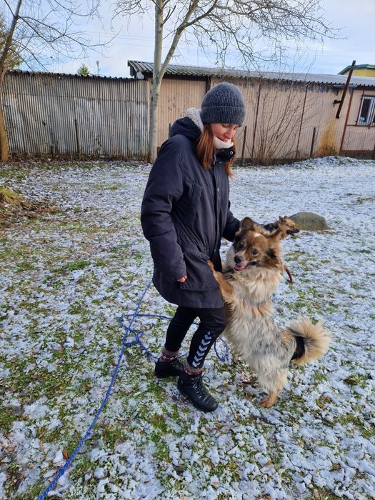 Kolejna zima za kratami i tak od kilku lat. Nikt go nie chce