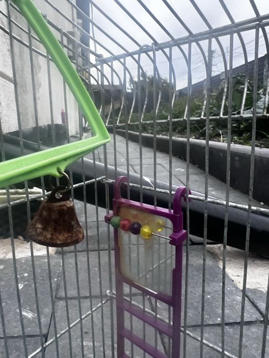 Клітка для папуги
