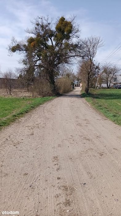 Działka budowlana/siedliskowa z prawem zabudowy, dostęp do mediów - Widok 4