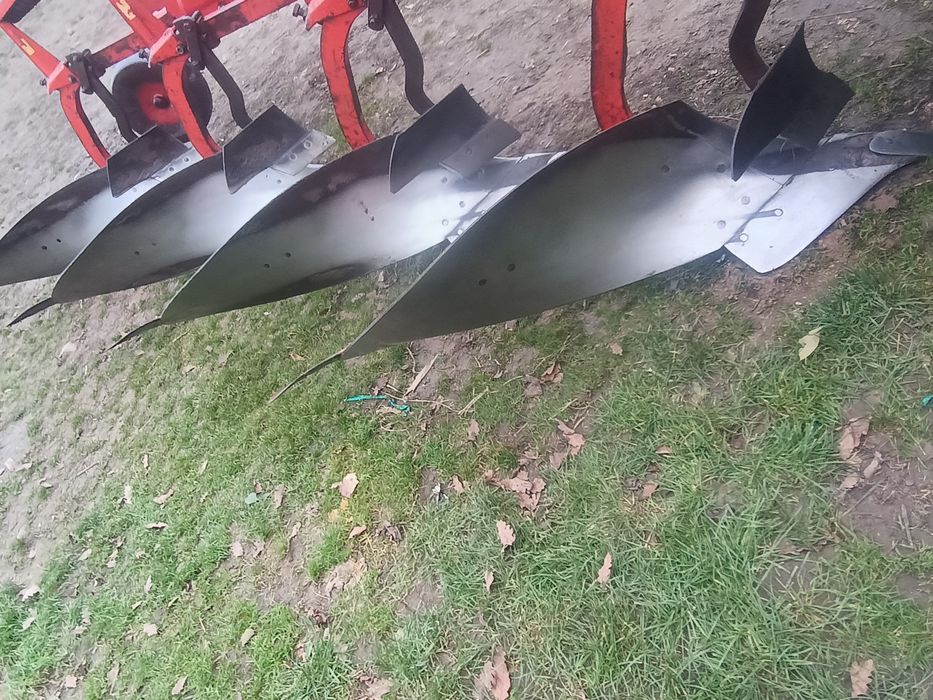 Pszenżyto ozime Aveo owies mieszanka