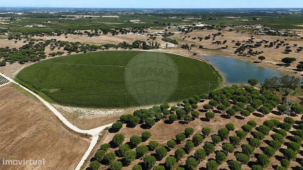 Terreno  para venda
