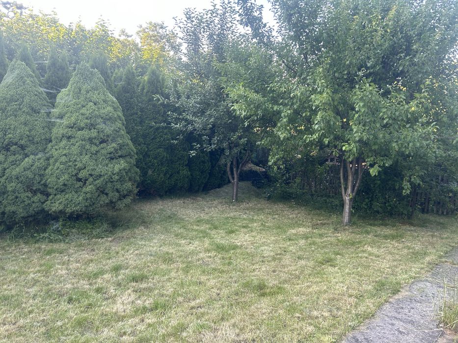 Sprzedam działkę ROD Wyzwolenie - Widok 4
