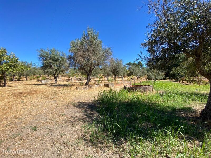 Quintinha / Fundão, Castelo Novo