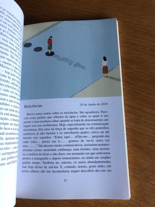 A invenção ocasional     ELENA FERRANTE