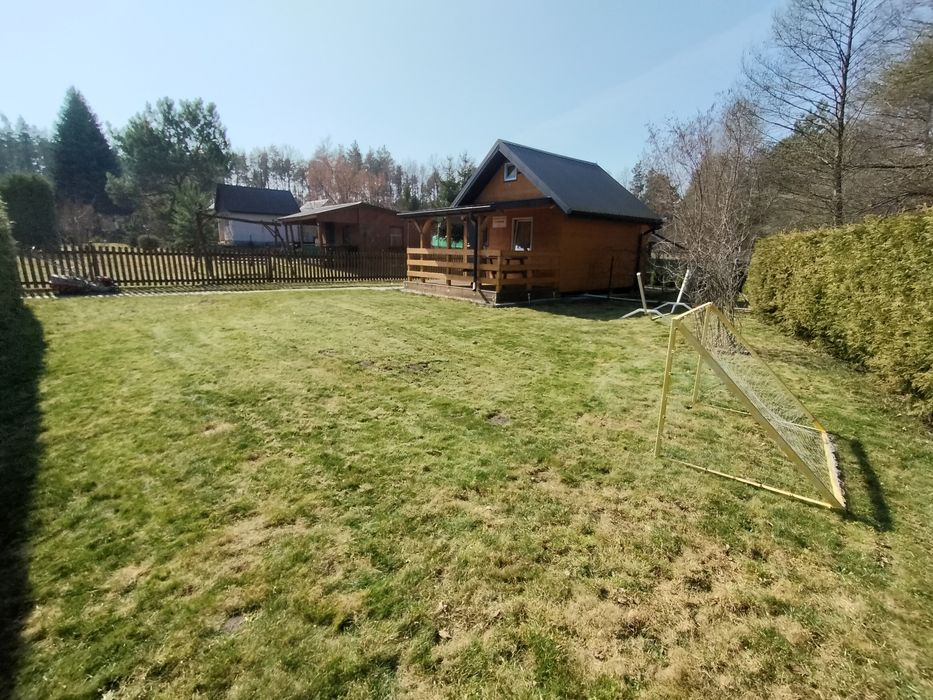 Działka RODo ul. Borowa - Widok 2
